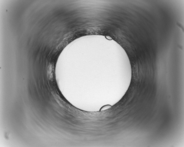 X0000100190038200806271629