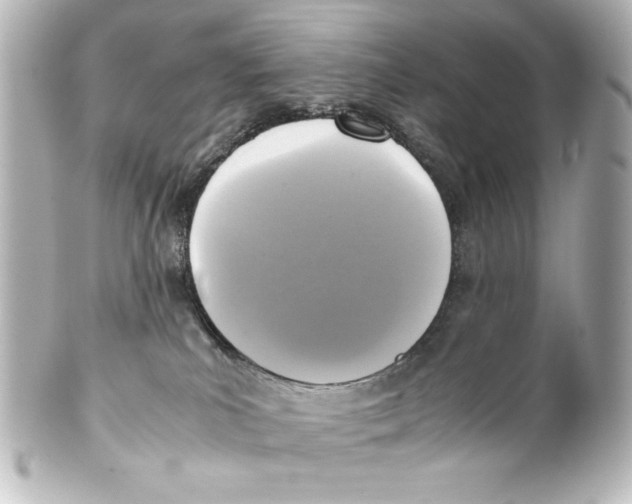 X0000100190039200806271629