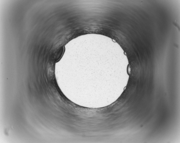 X0000100190040200806271629