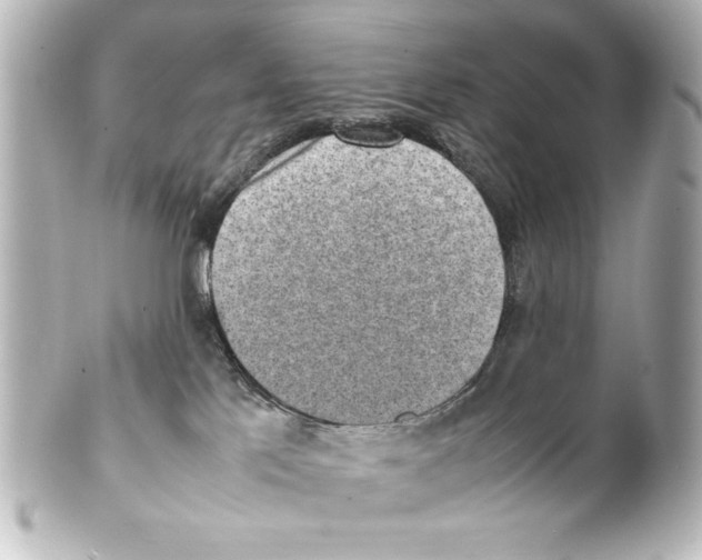 X0000100190041200806271629