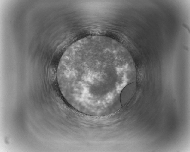 X0000100190043200806271629