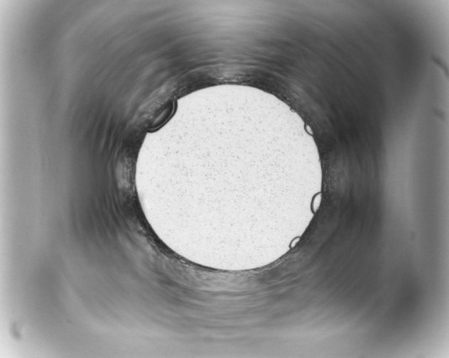 X0000100190044200806271629