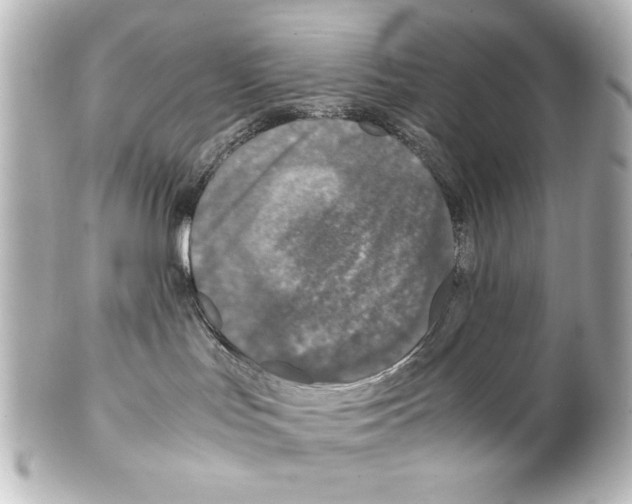 X0000100190047200806271629