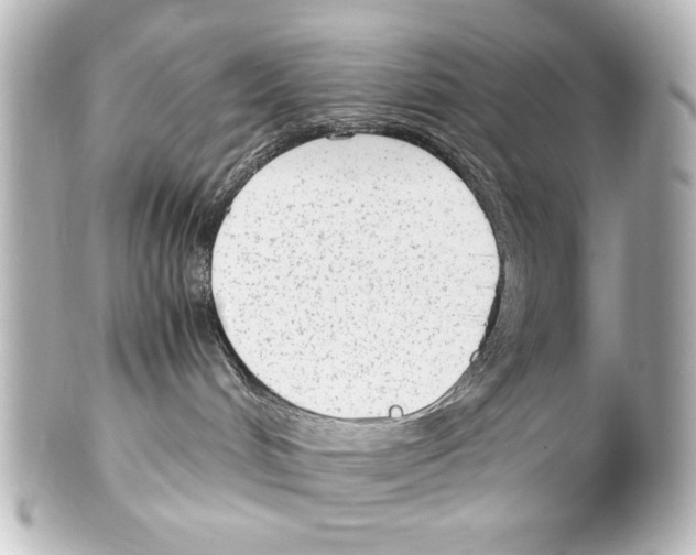 X0000100190048200806271629