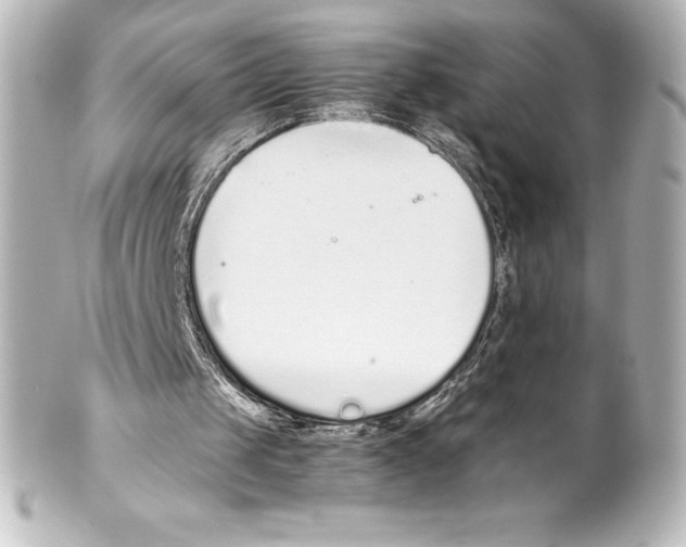 X0000100190049200806271628