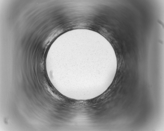 X0000100190050200806271628