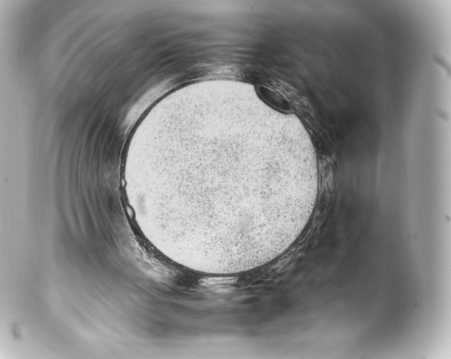 X0000100190051200806271628
