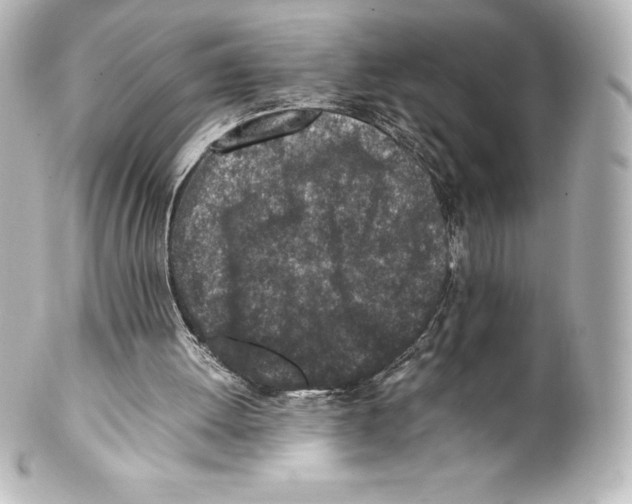 X0000100190052200806271628