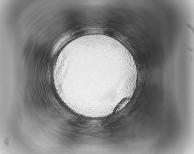 X0000100190053200806271628