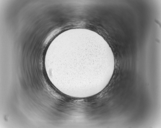 X0000100190054200806271628
