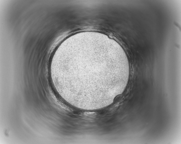 X0000100190055200806271628