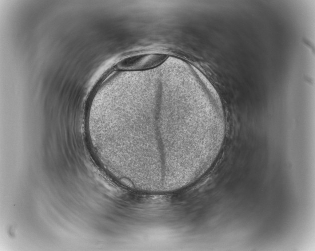 X0000100190056200806271628