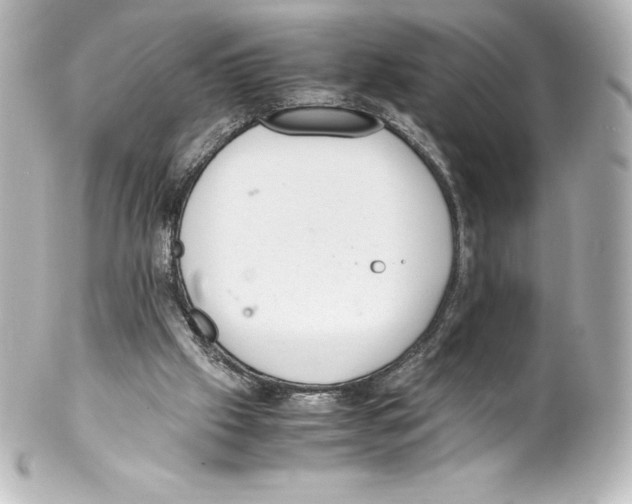 X0000100190057200806271628