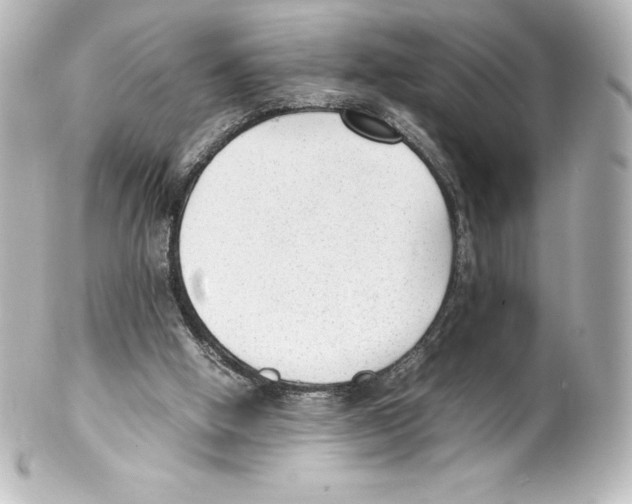 X0000100190058200806271628