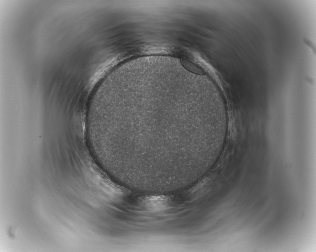 X0000100190059200806271628