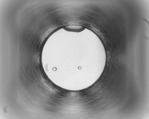 X0000100190060200806271628