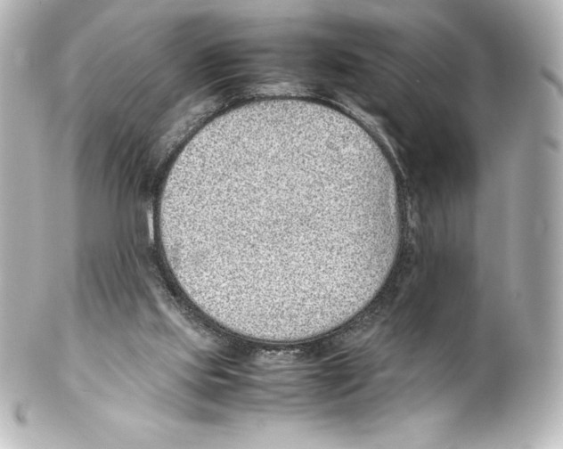 X0000100190061200806271628