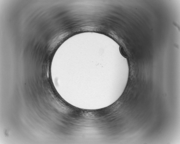 X0000100190062200806271628