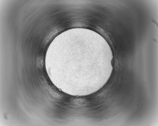 X0000100190063200806271628