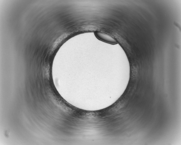X0000100190064200806271628