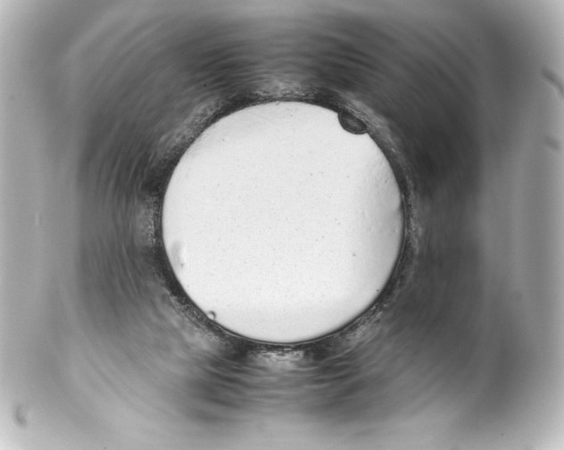 X0000100190065200806271628