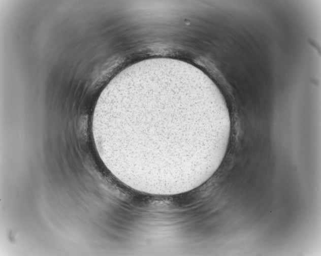 X0000100190066200806271628