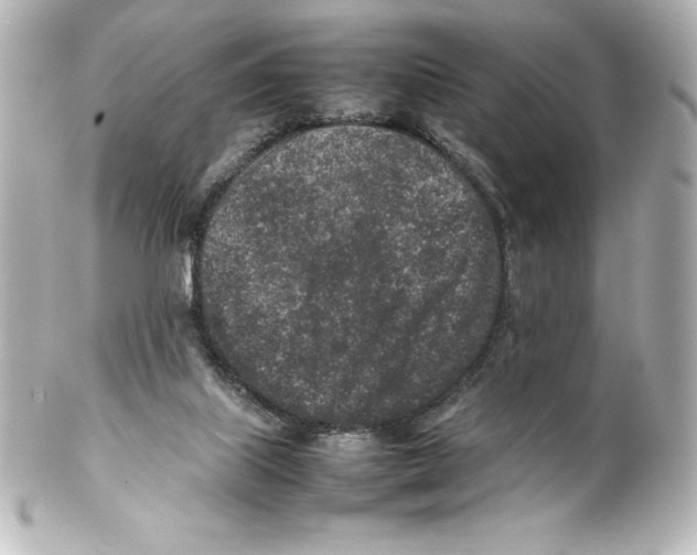 X0000100190067200806271628