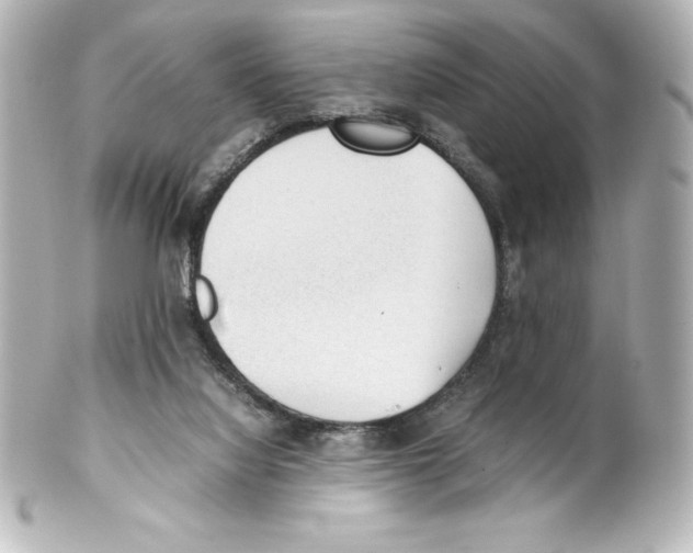 X0000100190068200806271628