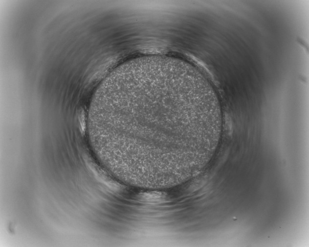 X0000100190069200806271628