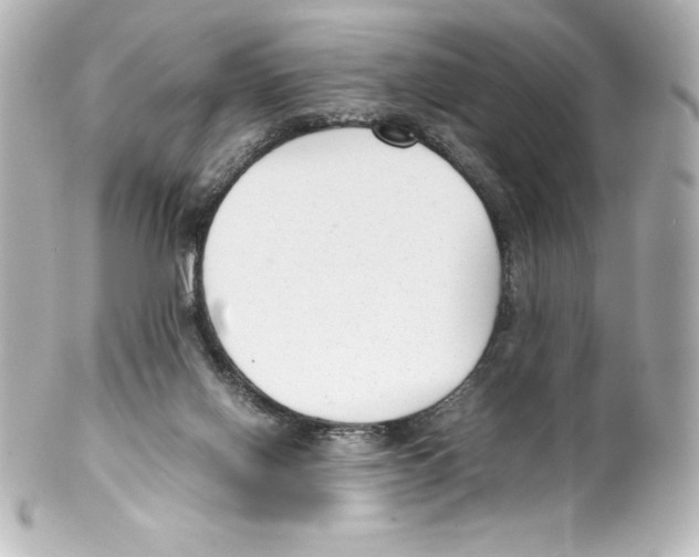 X0000100190070200806271628