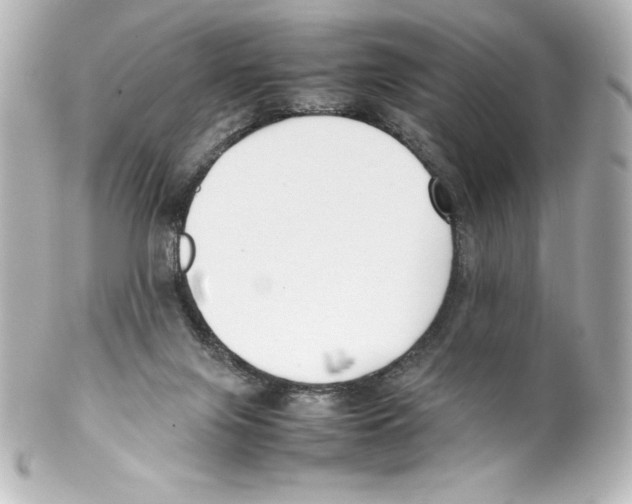 X0000100190071200806271629