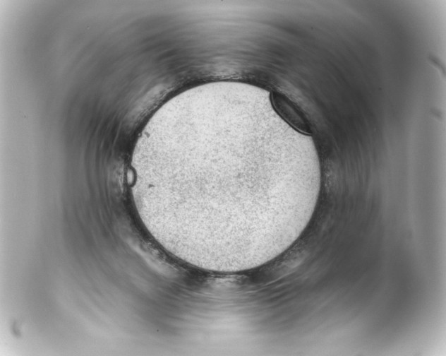X0000100190072200806271629