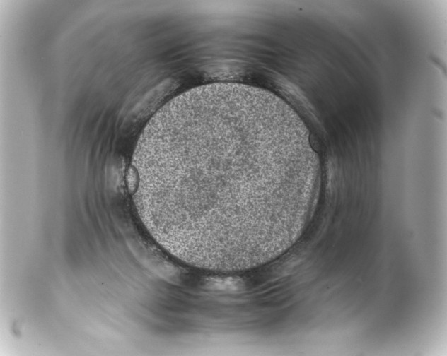 X0000100190073200806271629