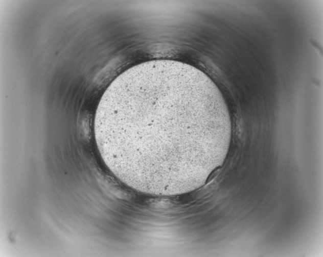 X0000100190074200806271629