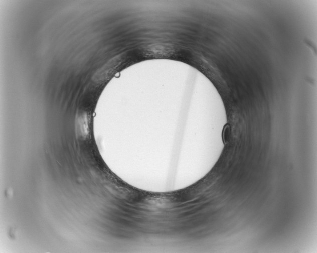 X0000100190075200806271629