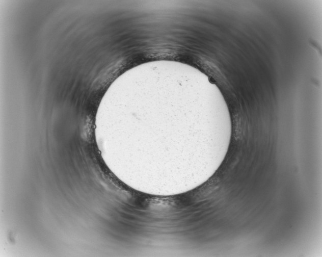 X0000100190077200806271629