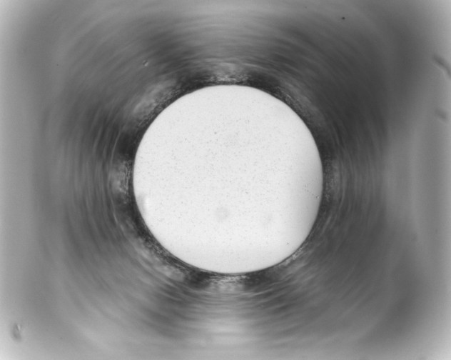X0000100190078200806271629