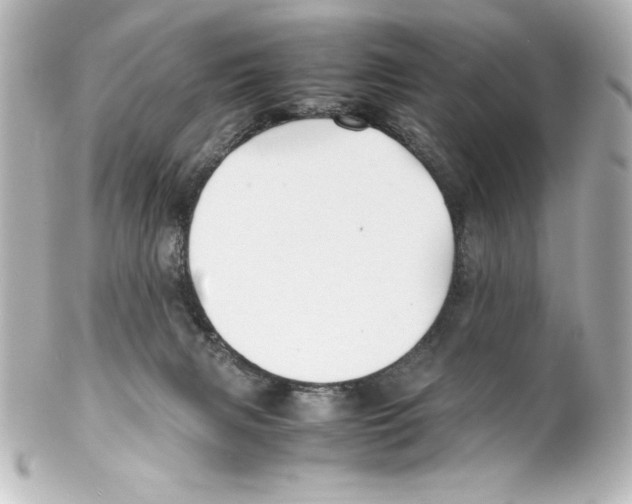 X0000100190079200806271629
