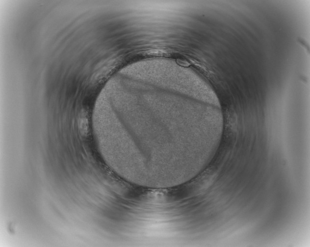 X0000100190080200806271629