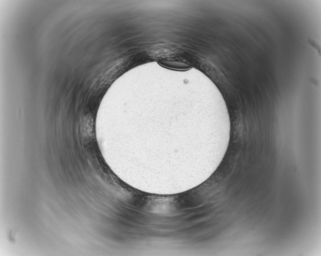 X0000100190081200806271629