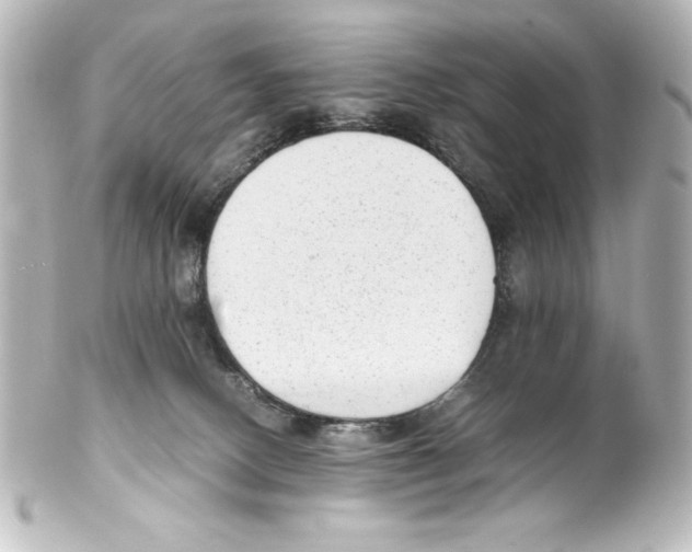 X0000100190082200806271629