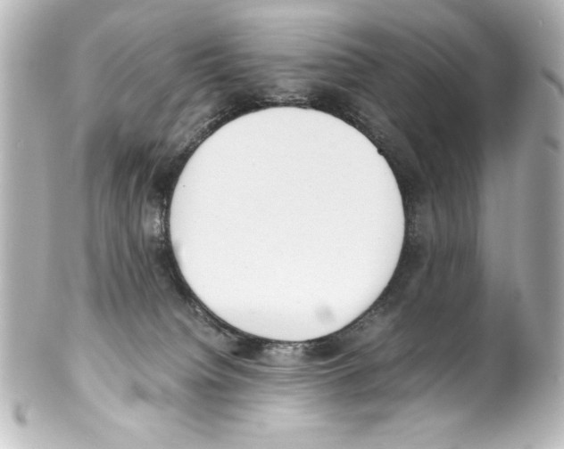 X0000100190084200806271629