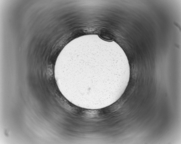 X0000100190085200806271629