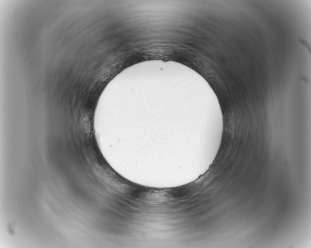 X0000100190086200806271629