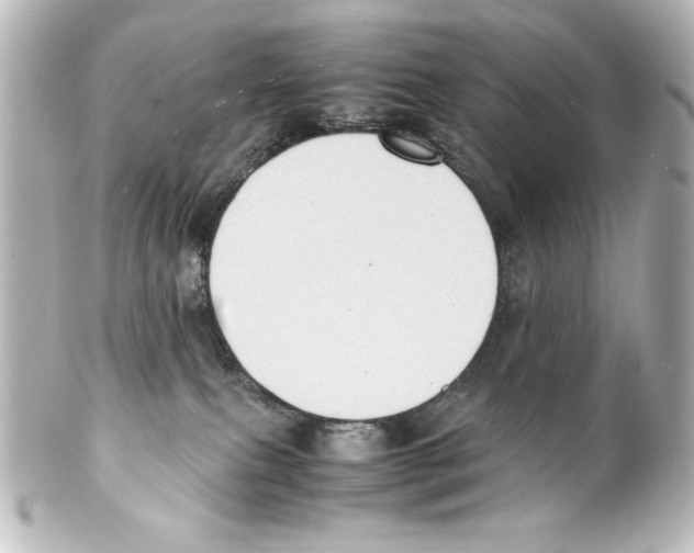 X0000100190087200806271629