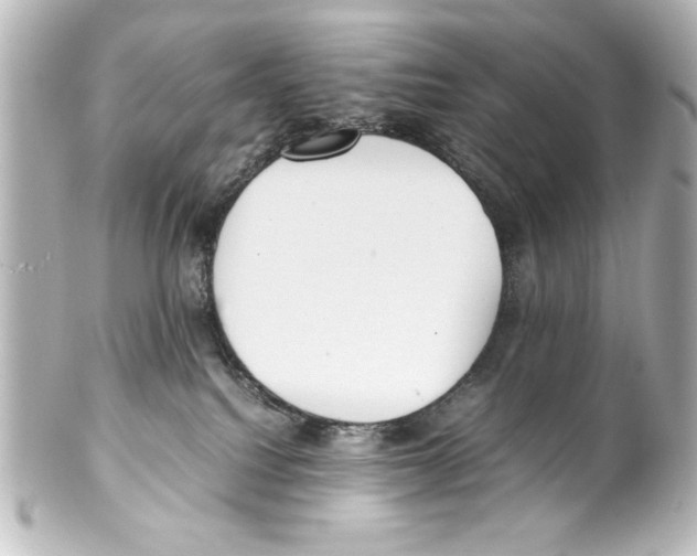 X0000100190088200806271629