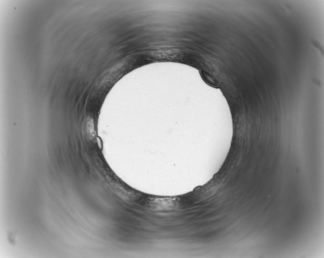 X0000100190089200806271629