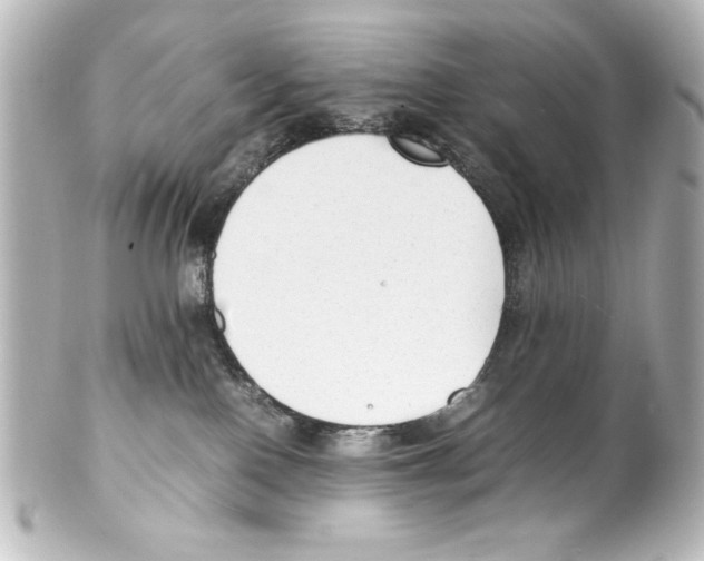 X0000100190090200806271629