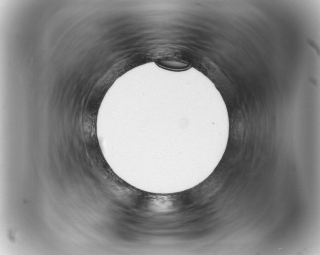 X0000100190091200806271629