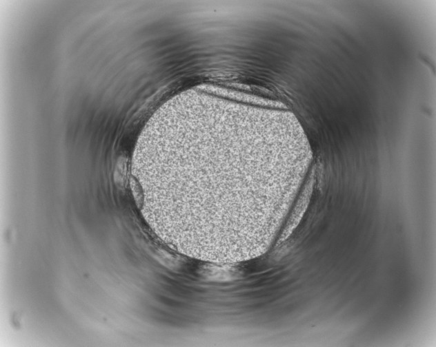 X0000100190093200806271629